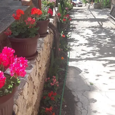 Apartmán Grebastica 13365b